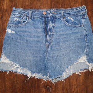 Mom Shorts, American Eagle - Size 12